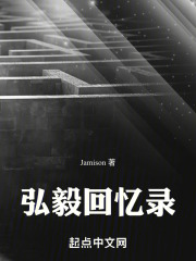 弘毅回忆录
