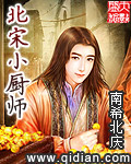 北宋小厨师