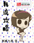 韩流攻略