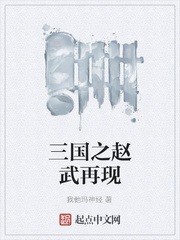三国之赵武再现