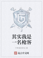 其实我是一名枪客