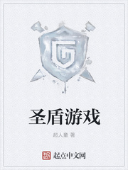 圣盾游戏