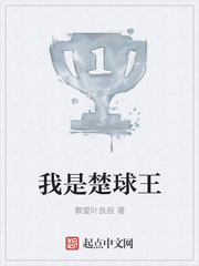 我是楚球王