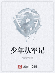 少年从军记