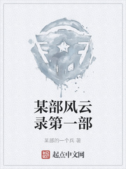 某部风云录第一部