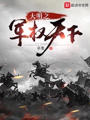 大明之军权天下