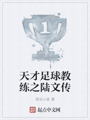 天才足球教练之陆文传