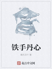 铁手丹心