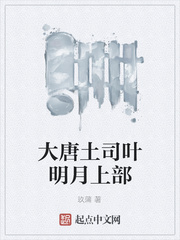 大唐土司叶明月上部