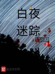 白夜迷踪