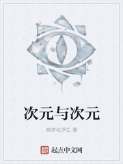 次元与次元