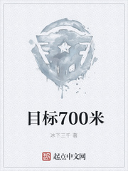 目标700米