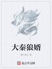 大秦狼婿