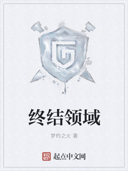 终结领域