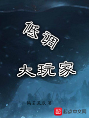低调大玩家