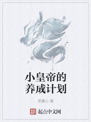 小皇帝的养成计划