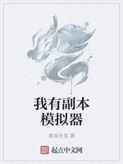 我有副本模拟器