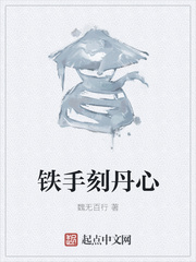 铁手刻丹心