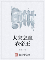 大宋之血衣帝王