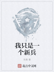 我只是一个新兵