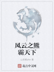 风云之熊霸天下
