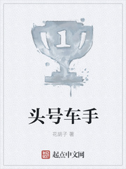 头号车手