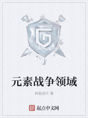 元素战争领域