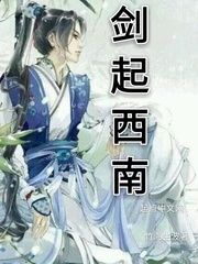 剑起西南