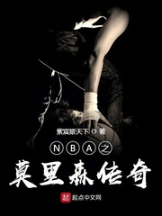 NBA之莫里森传奇