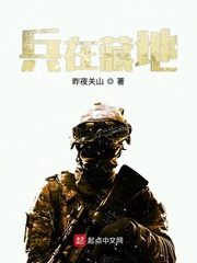 兵在藏地