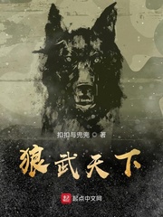 狼武天下
