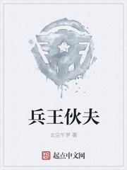 兵王伙夫