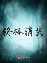 终极消失