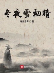 冬夜雪初晴