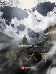 瞒天大弈