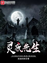 灵夜先生