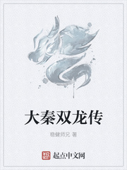 大秦双龙传