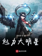 魅力大明星