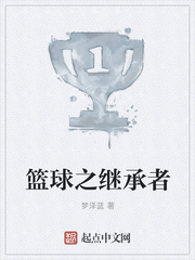 篮球之继承者