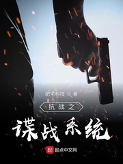 抗战之谍战系统