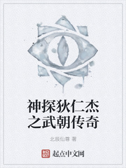 神探狄仁杰之武朝传奇