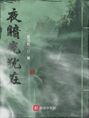 夜暗光犹在