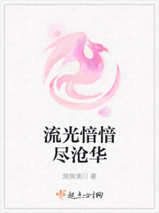 流光愔愔尽沧华