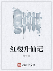 红楼升仙记
