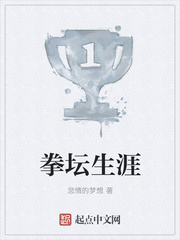 拳坛生涯