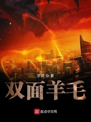 双面羊毛