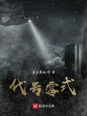 代号零式