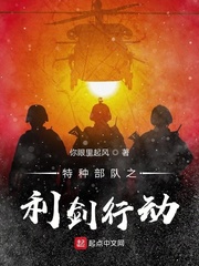 特种部队之利剑行动