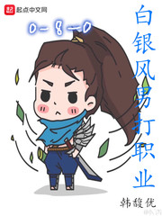 白银风男打职业
