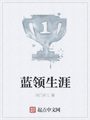 蓝领生涯